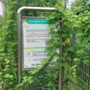 일패4통 이미지