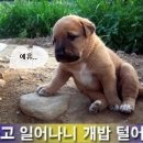 같이