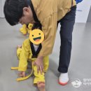 보광유치원 이미지
