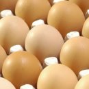 (주)올품 이미지