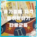 리딩리터러시(2급) 자격증반 | 휴가 중에 자격증따기 타로교육으로 가능