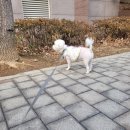 ROCK 코인 노래연습장 이미지