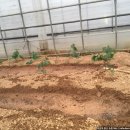 현민농장 이미지