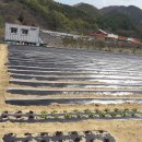 동량면사무소 이미지