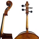 첼로 (행복한 첼로) 이미지