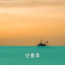 신흥호
