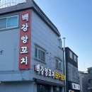 [안성맛집] 백강양꼬치 | 공도읍 양꼬치, 양갈비 내돈내산 솔직후기!
