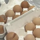 철원농장 이미지