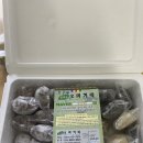 제주남초등학교 | 제주동문시장떡집 삼다도오메기떡집 세트 후기 | 제주 삼도일동떡집