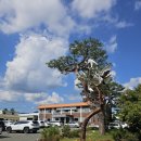 이서면사무소 이미지