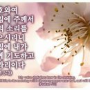 이초석: 교회신문 ＞ 제 888호 똥 묻은 개가 겨 묻은 개 나무란다 (마18:18~35) 이미지