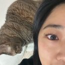 다옴뷰티 이미지