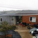 비안농장 이미지