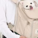 강아지별장