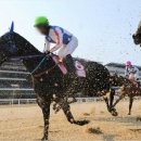 부산경남경마공원 화장실 이미지