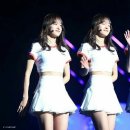 세정