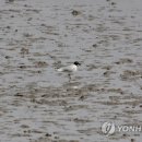 중선포천 이미지