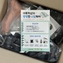 마루치 | 웬즈데이 의상 씽 할로윈 코스프레 마루치샵 대여 후기