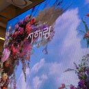 화성카 | [화성/제부도] 서해랑 케이블카 오전 탑승 및 C27카페 내돈내산 후기