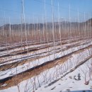 외성농장 이미지