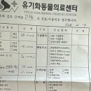 유기화 이미지