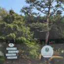 VIP실내골프장 이미지