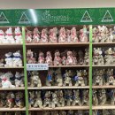 신현카 블루 서비스 | 호주 시드니 블루마운틴 페더데일 동물원 투어 줌줌투어 내돈내산 후기(시닉월드 불포함 코스)