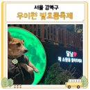초롱애견 - 창원시 진해구 백구로 4 | 초롱애견