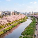 양재시민의숲역 4~5번출구 이미지