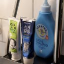 태안 요요키즈풀빌라 캠핑펜션 이미지