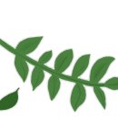 둔촌연세치과의원 이미지