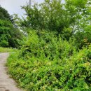 어진농장 이미지