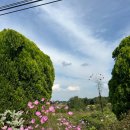 엘림 정기연주회 이미지