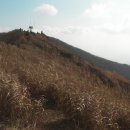 산행신청(충남/보령 오서산 억새산행 11월6일 첫째주 일요일) 이미지