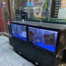3단숙성다드림