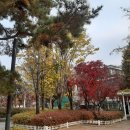 구로리공원 이미지