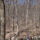 Wyanokie High Point, Norvin Green State Forest(04/03/19) 이미지