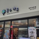 펜타포트국수나무 이미지