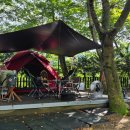 청천화양동관광농원  초롱이 캠핑장 이미지