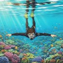 (주)카시모 이미지