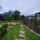 참솔 한우 이미지