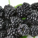 용우농장 이미지