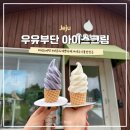 탐라목장 | 제주 서부 여행 성이시돌 목장 우유 아이스크림 맛집 우유부단 카페