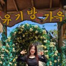 서산스포츠댄스학원 이미지