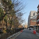 대흥미트 | 감성 그대로, 마포 대흥역 으로 다시 돌아온 “누오바 이탈리아” 가오픈 방문 후기 ✨ 이탈리아 정통...