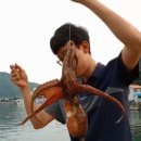 모텔 다크호스 이미지