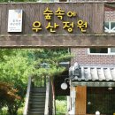 숲속에 우산정원 이미지