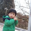 찬영