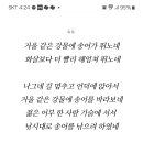 송어 노래 가사 아시는 분요 이미지