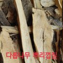 현대카브레다 네이버블로그